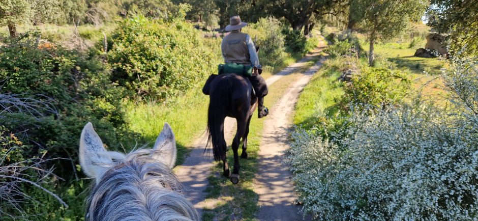 Camino de Santiago a Caballo - Imagen 7