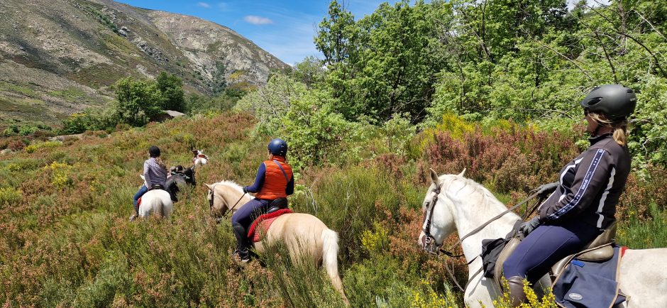 Camino de Santiago a Caballo - Imagen 3