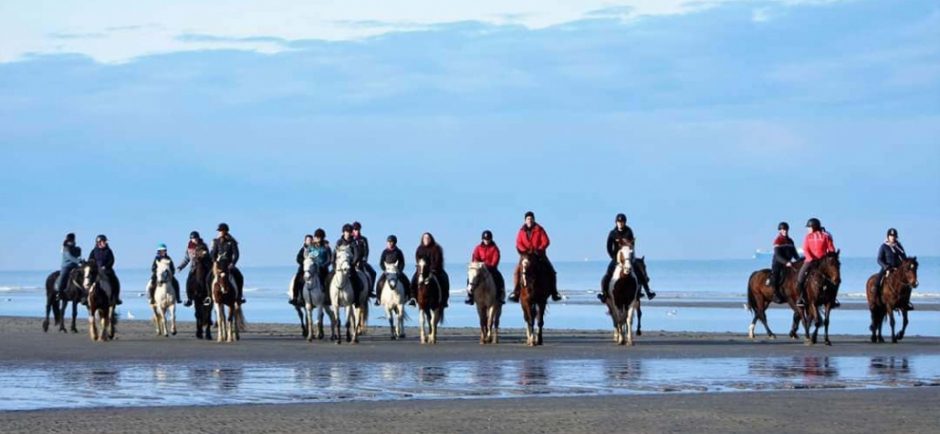 Camino de Santiago a Caballo - Imagen 6